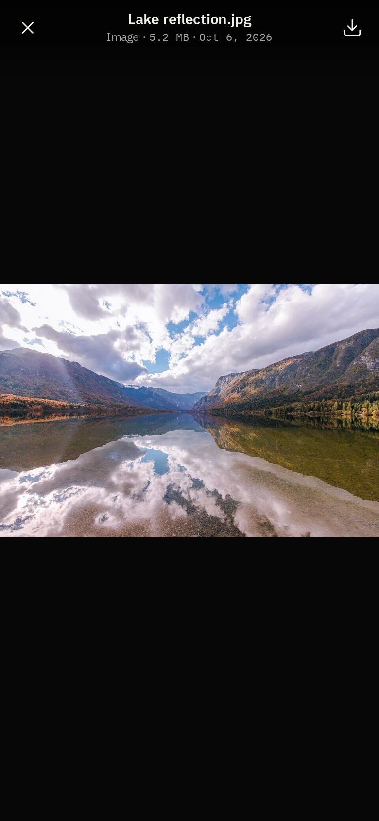 A photograph open in the viewer on a phone.