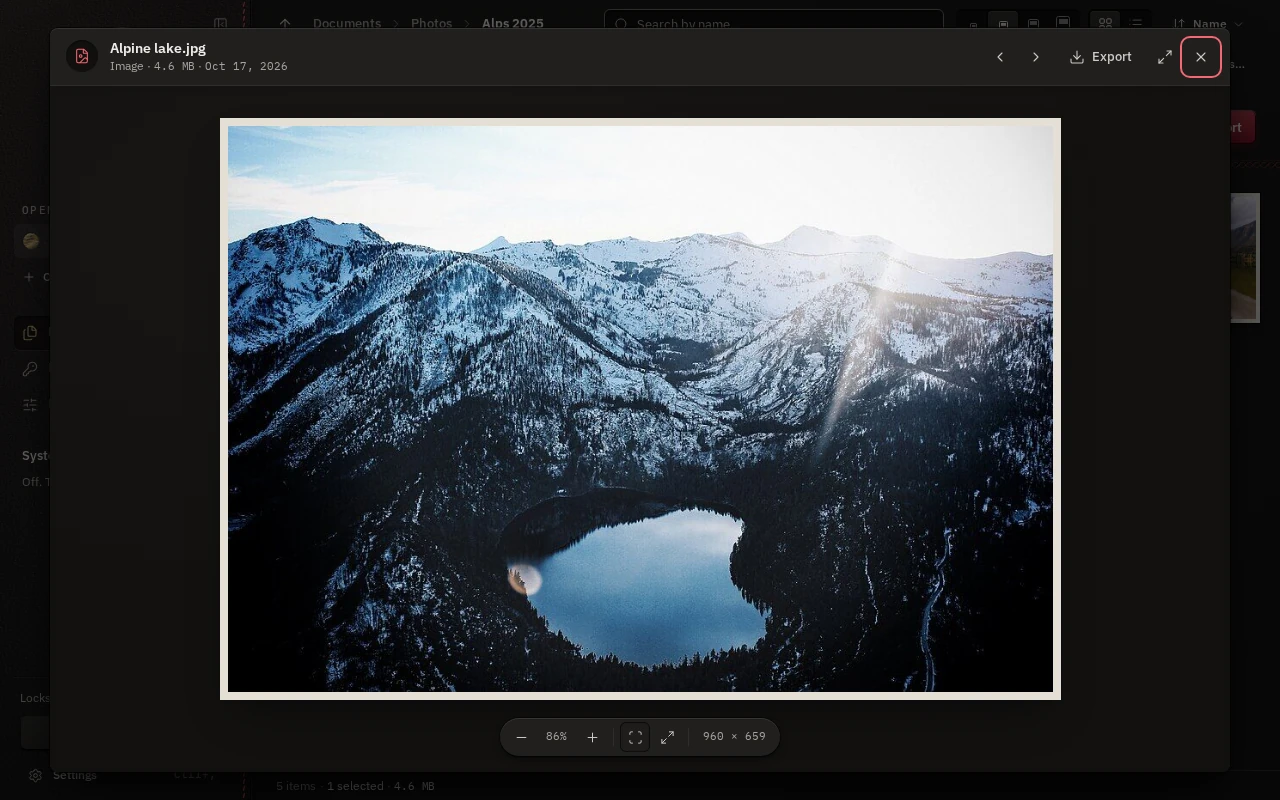 The image viewer, showing a photograph from the volume.